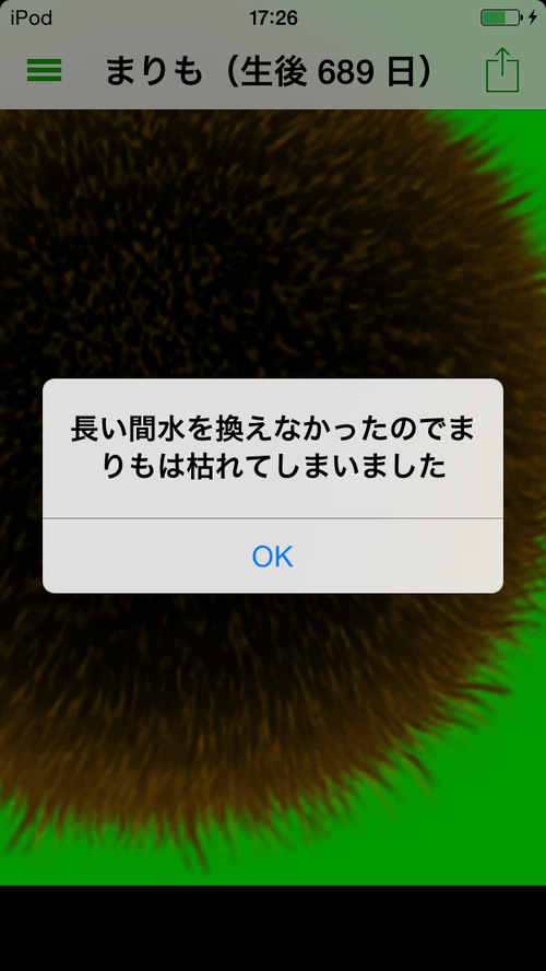 まりも ぼーやんのお部屋 まりも ぼーやんのお部屋