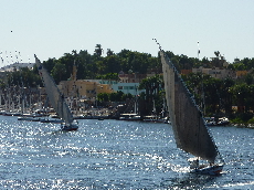 p1070720%281%29.jpg
