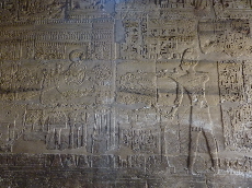 p1070645%281%29.jpg
