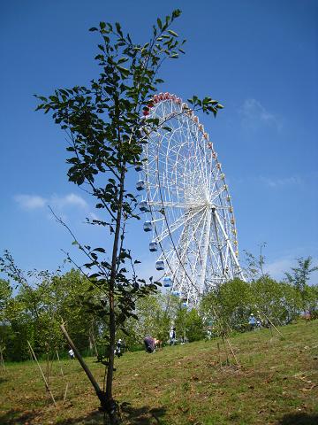 110.jpg