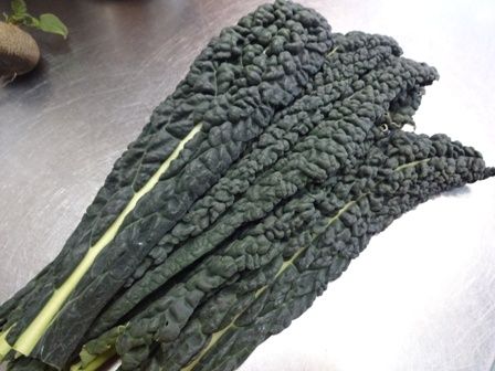 黒キャベツ