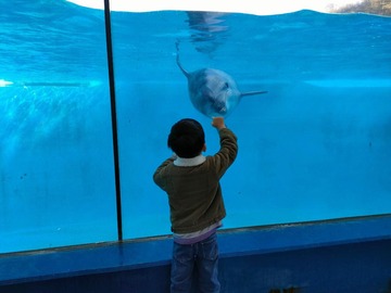 416339441_384249487430903_5705012007763038363_n