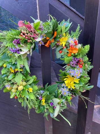 368589553_2538518326308689_1123372055769946101_n