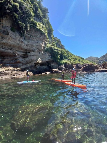 371442338_265913999742972_2583043277741526696_n