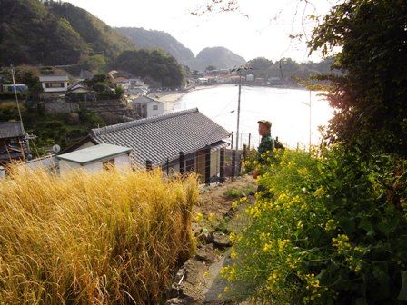 岩地歩道^