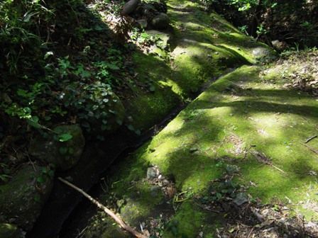 岩地歩道⑤