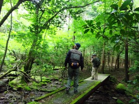 途中、何度も立ち止まる