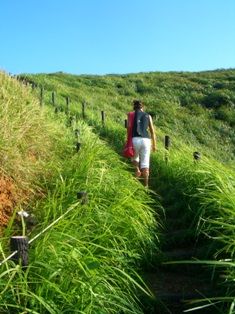 ゆうすげこうえん2