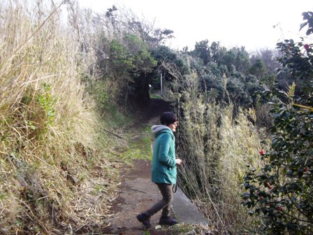 子浦　遊歩道　きよみさん