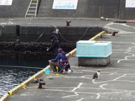 つり 子浦