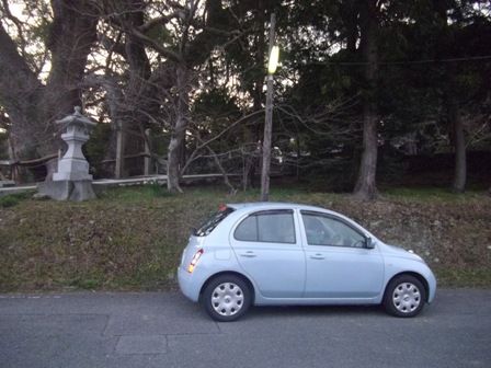 夫婦楠　三島神社　ゆーたーん