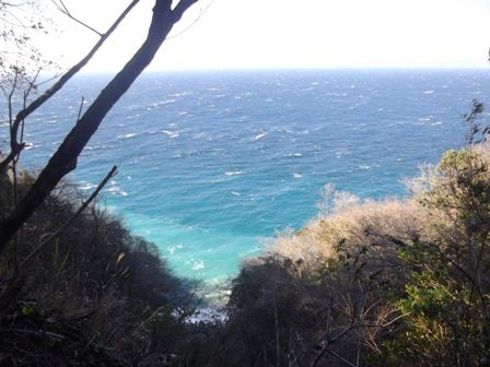 今山遊歩道から②