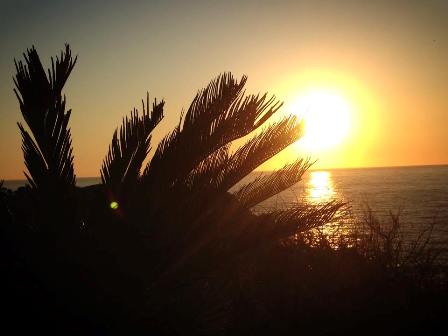 10406712_625611860894130_1487676702033358160_n