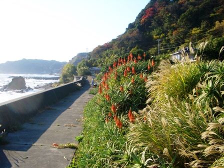 したる海岸午後2時