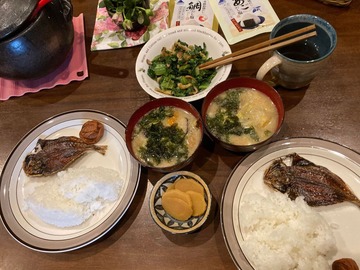 387627666_1505040913610481_32175470870753989_n