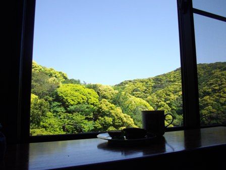 ケーキと景色