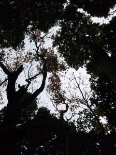 あすなろ山1130-3