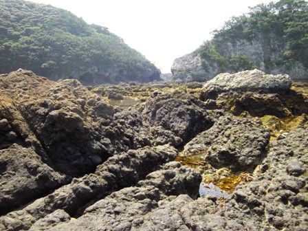 大潮の小稲湾①