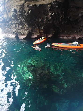 380238088_880153140199893_6974525669300307778_n