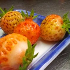 いちご