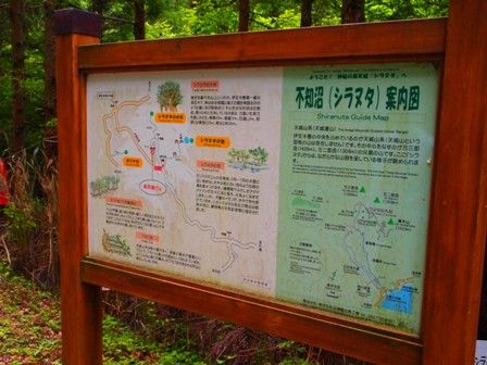 シラヌタ説明書き