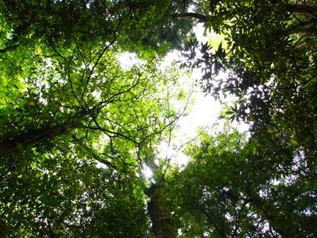 優しい光が包みます。