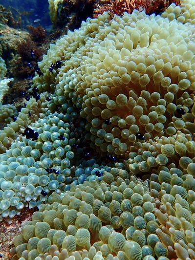 458544116_8220167704763412_1287705516718407193_n