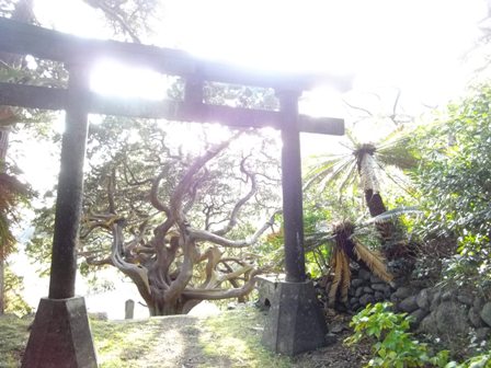 太陽がまぶしい白鳥神社