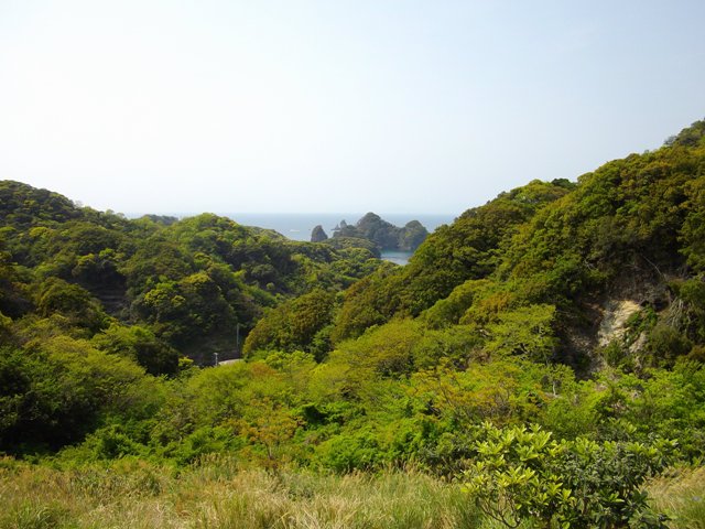 田子瀬浜 浮島海岸 小稲湾 ゲストハウス コドコド 営業中 田子瀬浜 浮島海岸 小稲湾 ゲストハウス コドコド 営業中
