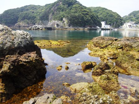 大潮の小稲湾②