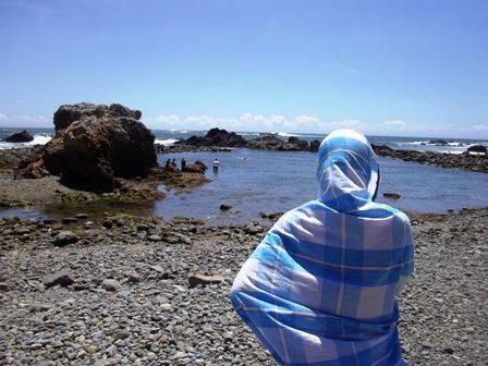 したるのプール