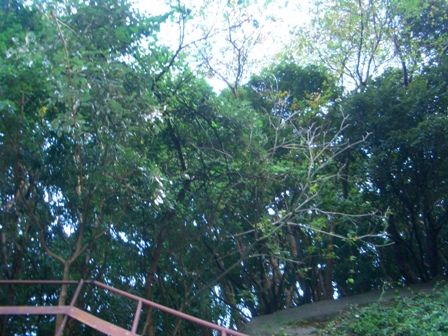 あすなろ山階段おどりば