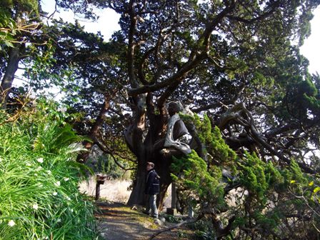 白鳥神社②