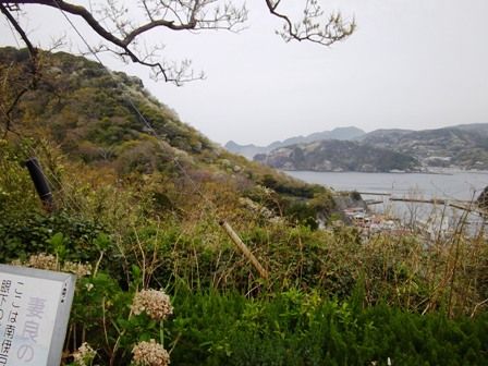 妻良～吉田遊歩道