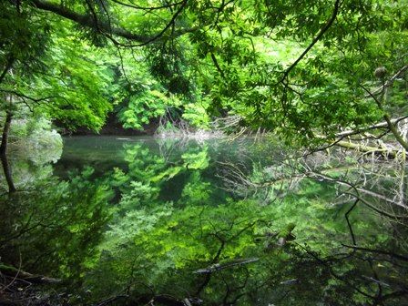 シラヌタ到着！！