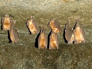 387513654_1122483205408613_1277564446161511742_n