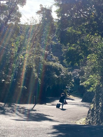 426521074_376220315309567_3799182266030547251_n