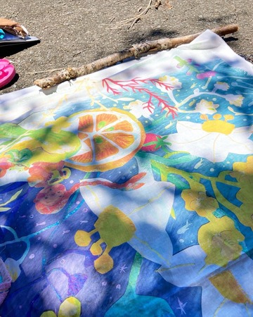 295297370_428681162609353_5095169517971187281_n