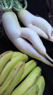 20101030daikon