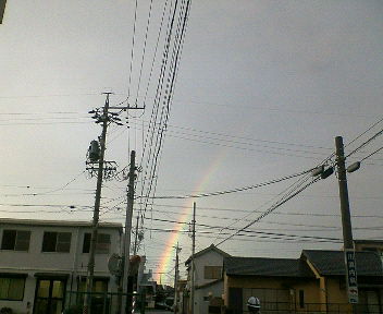 img20060202.jpg