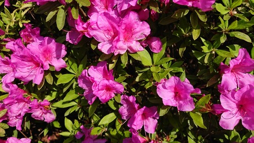 DSCPDC_0000_BURST20200512150617433