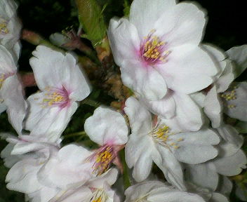 200904100043000.jpg