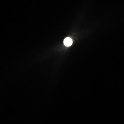 IMG_20181024_190530_528