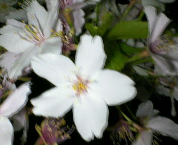 200904100059001.jpg
