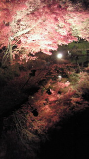 200911301849000.jpg