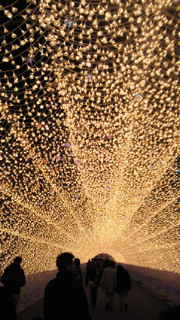200911301821000.jpg