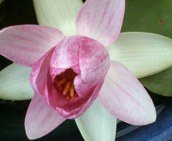 200906231139002.jpg