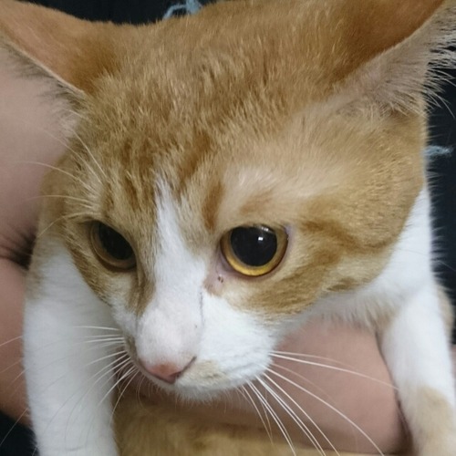 [画像:3d2aca64-s.jpg]