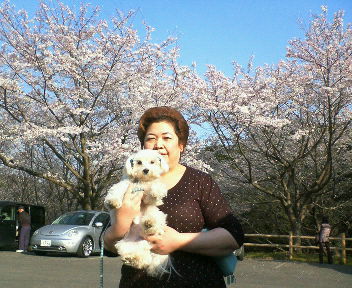 200904061603001.jpg