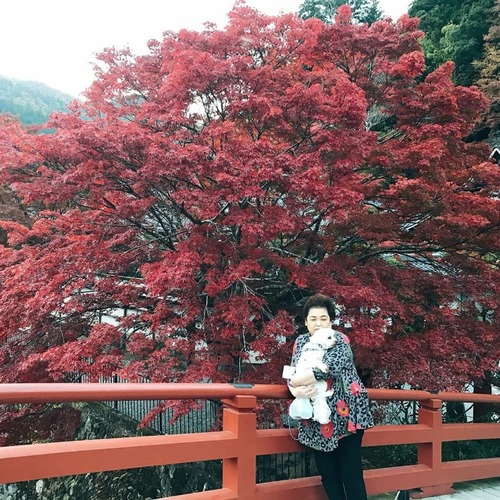 IMG_20191113_225721_973